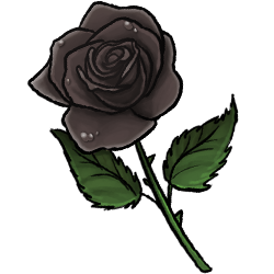 black-rose-image.png