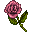pink-rose-icon.png