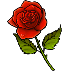 red-rose-image.png