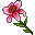 stargazer-lily-icon.png