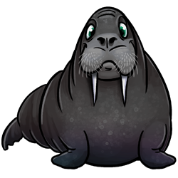 walrus-image.png