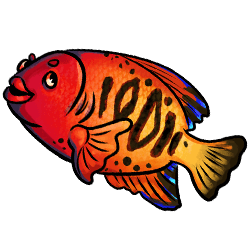 fish-red-image.png