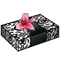 blackwhite-box-image.png