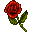 red-rose-icon.png