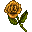 Yellow Rose