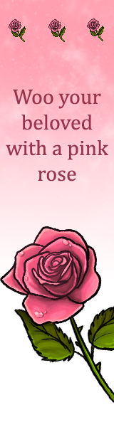 A pink rose on a white and pink background. Text reads: Woo your beloved with a pink rose
