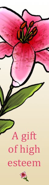 A pink and white stargazer lily on a gold background. Text reads: A gift of high esteem